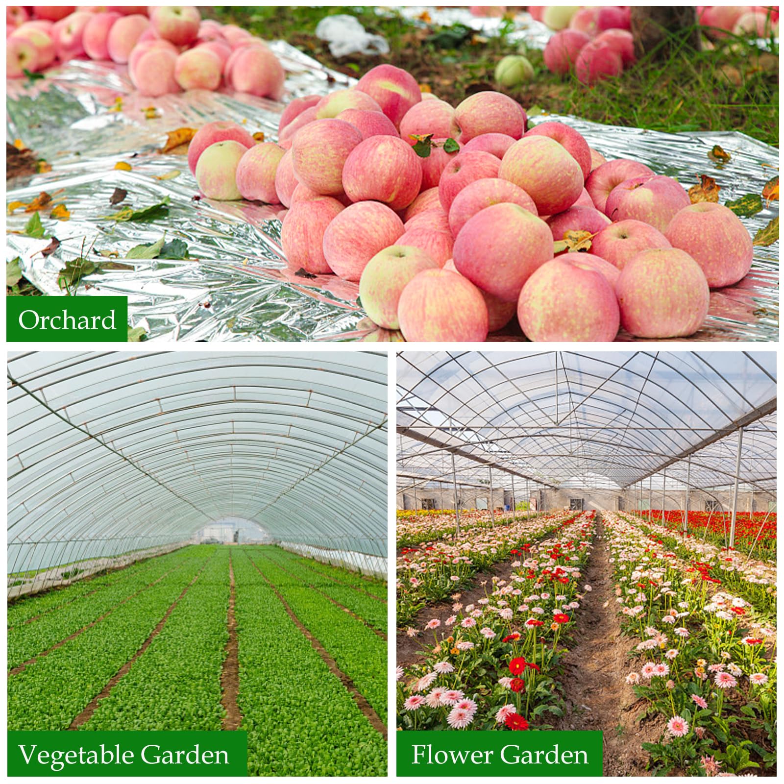 Pellicola Riflettente Per Piante - 160x210 Cm Per Serre E Coltivazione