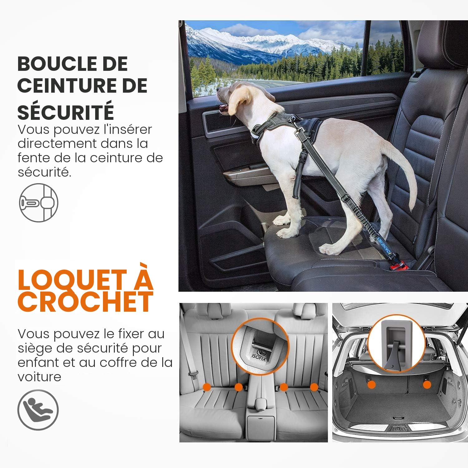 IOKHEIRA Ceinture Sécurité Chien, Trois en Un Ceinture Chien Voiture, Reglable Nylon Durable Harnais Voiture Chien, avec Coussin élastique Antichoc, pour Tous Les Chiens et Chats, Nylon Noir