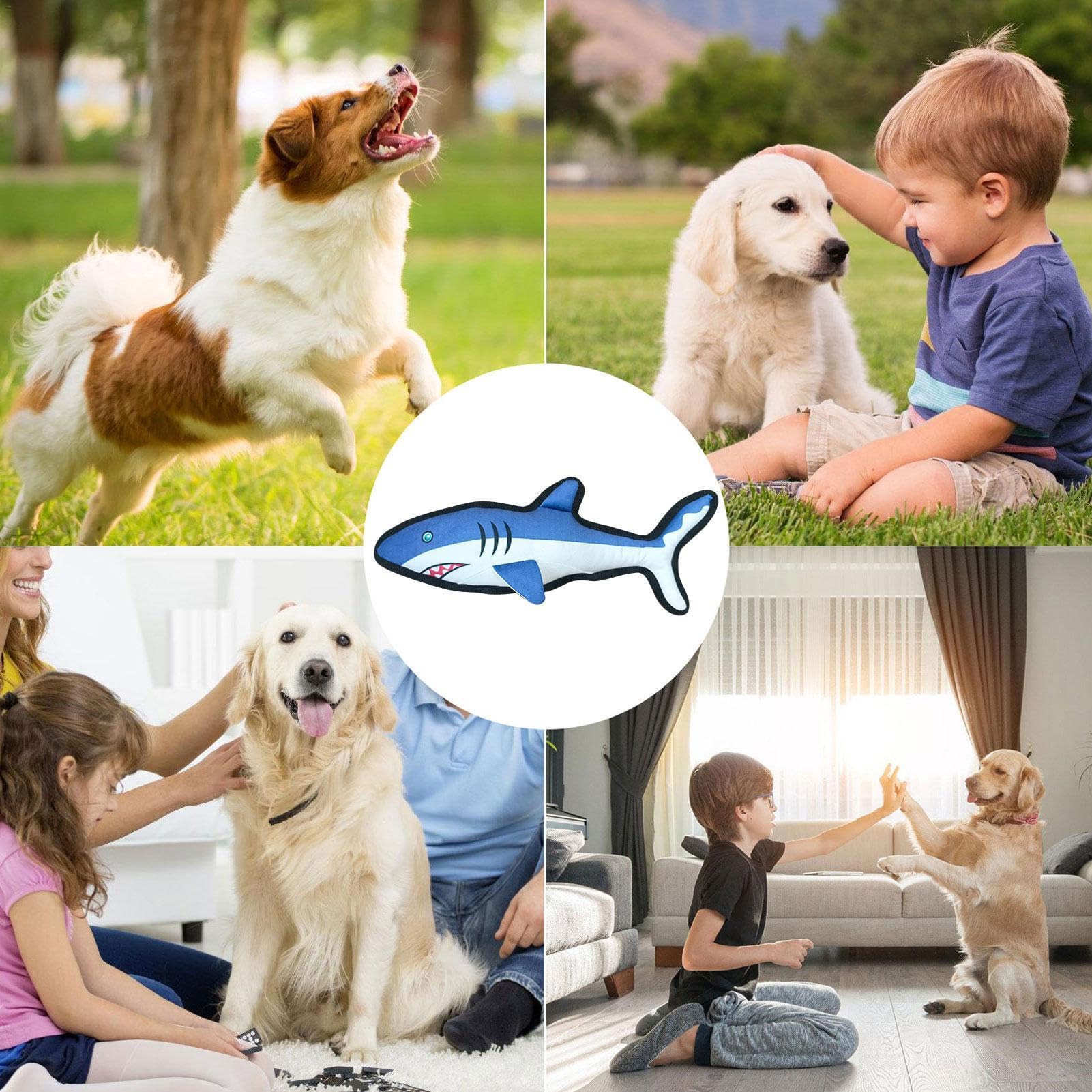 Giocattolo per cani con squittio, giocattolo per la pulizia e l'addestramento dei denti, giocattolo per la pulizia e l'addestramento dei denti a forma di squalo, giocattolo per dentizione per animali