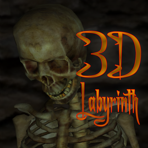 3D Labyrinth