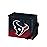 FOCO NFL Unisex Gradient Print Lunch Bag Coolergradient Print Lunch Bag Cooler, Houston Texans, Standard