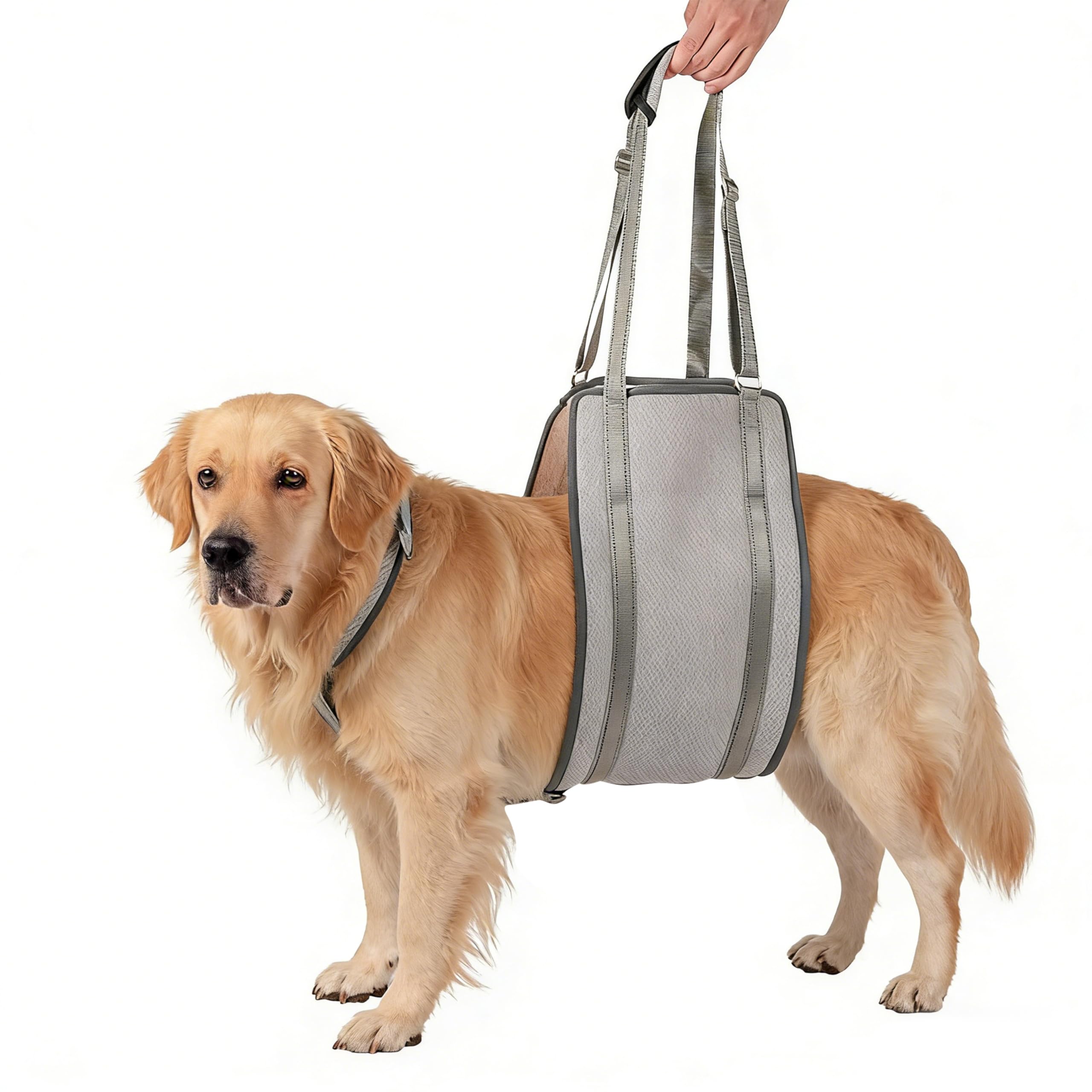 Harnais de levage pour chien L soulage les douleurs d'arthrose