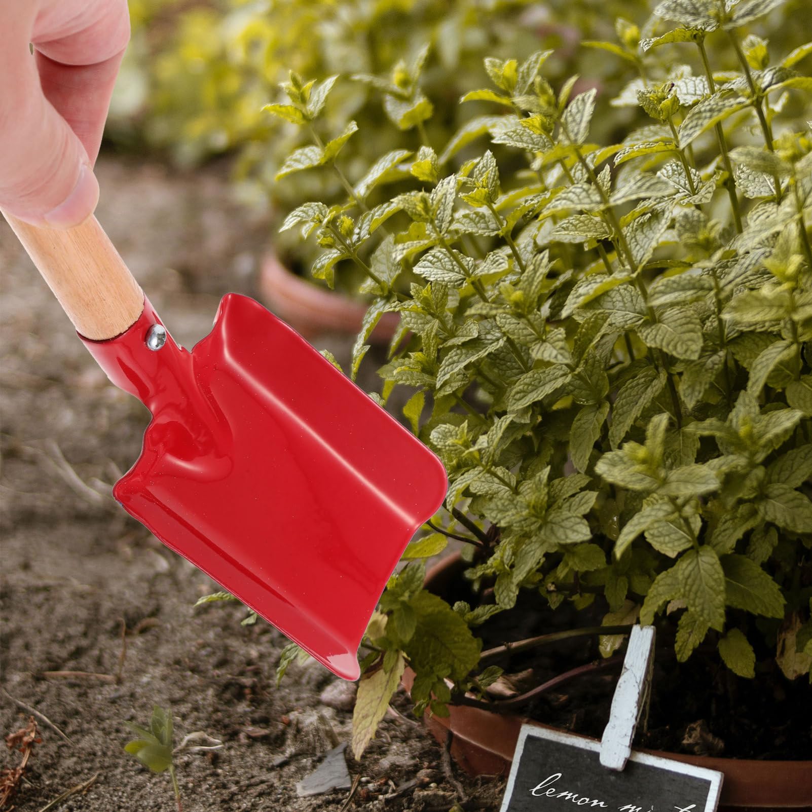 ibasenice Pala De Trasplante De Hierro para Jardinería Herramienta De Mano para Y Aflojar Tierra para Plantar Flores Y Plantas Jardín Patio Y Huertos 2 Piezas X 5