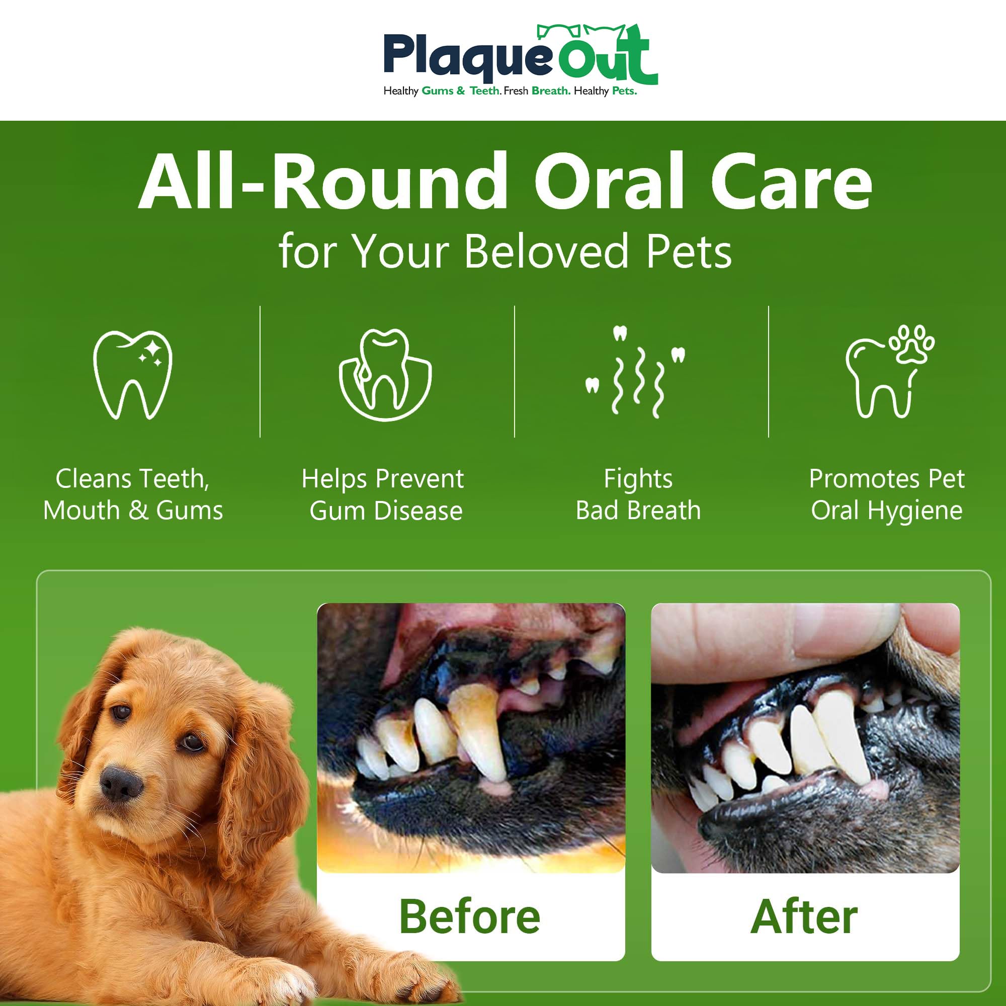PLAQUE OUT Extractor de placa de sarro en bolsa, 100 % natural y orgánico, cuidado de las encías de los dientes del mal aliento para perros y gatos (750 g)