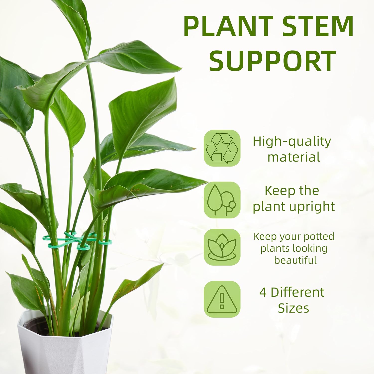Plant Stem Support,Stem stabilizer for Indoor Plants,Reusable 4 Sizes Set,Plastic Stems Holder,Let Potted Plants Grow Upright. (16, Green) image 3