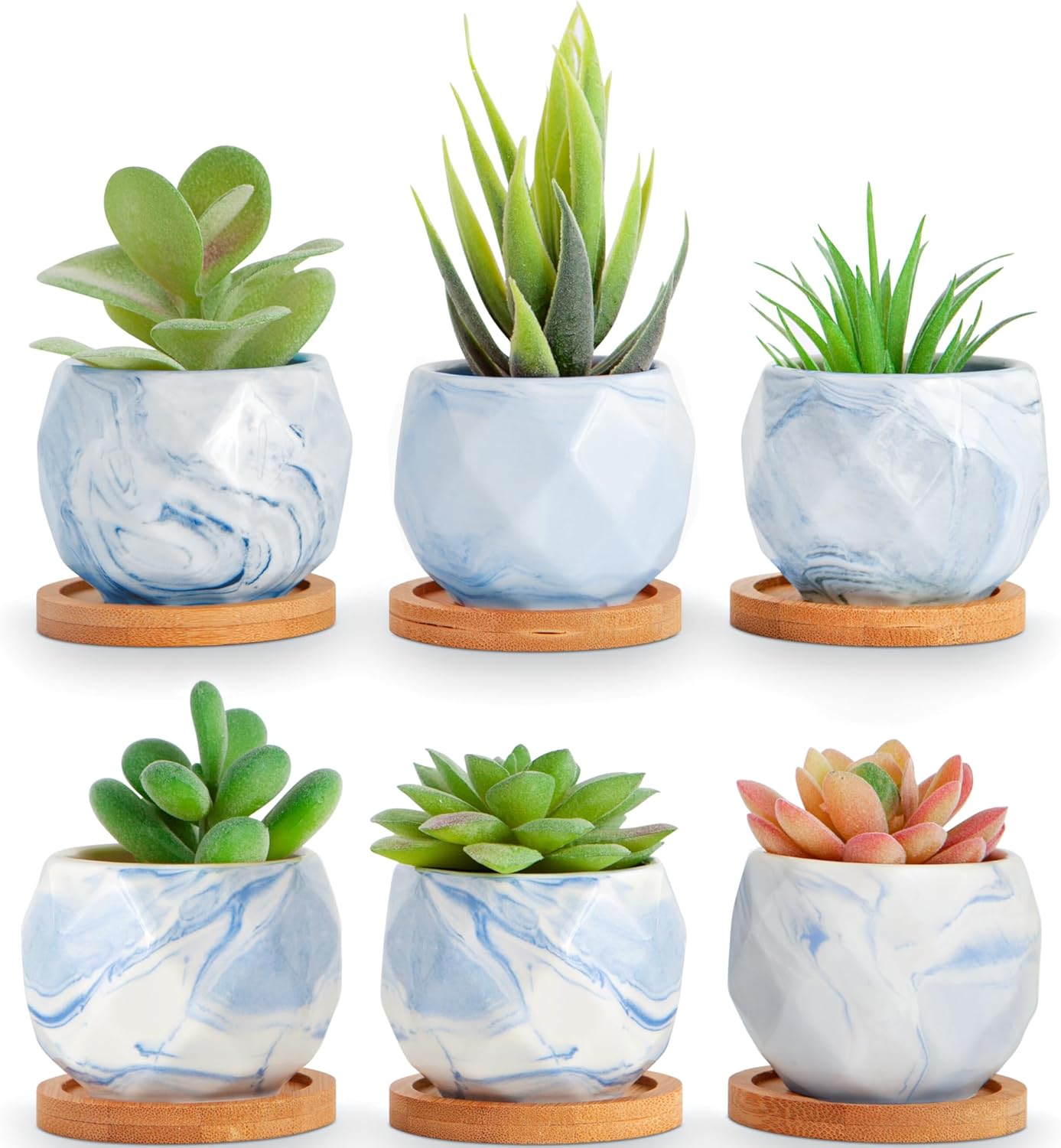 ilohaus Blue Succulent Pots Set of 6, Plant Pots Indoor