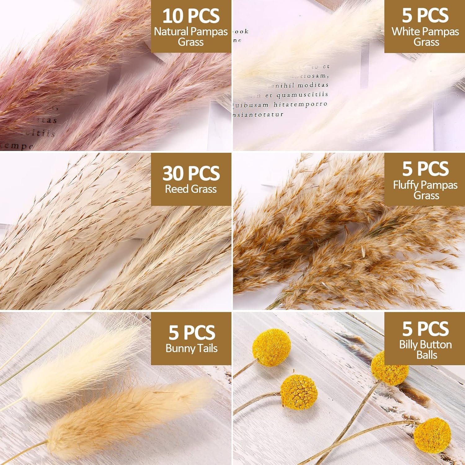 Buy Pampas Grass, 60 Pcs Natural Dried Pampas Grass, 17.72 Pampas Grass