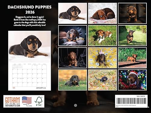 Vista 254 de Calendario Goldendoodle 2026 Golden Doodle mensual de pared calendario de 12 meses Fabricado en Estados Unidos