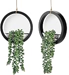 Der Rose 2Pcs Fake Hanging Plants for Bathroom Wall Decor and Wall Art | Wall art-style faux hanging plants for bathroom, living room, kitchen and office wall decor, with 2 black pots and ropes.