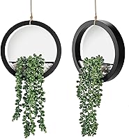 DerRose 2 Pack Hanging Artificial Succulents Fake Plants in Black Pots - Realistic Boho Farmhouse Wall Decor for Living Room Bathroom