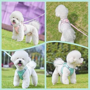 Dog Harness and Leash Set,Soft Mesh Breathable Dog Vest Harness with Training Clicker,Adjustable No Pull Reflective Pet Vest Harness with Safety Buckle for Small Medium Dogs, Cats, Puppies (Green, XS)