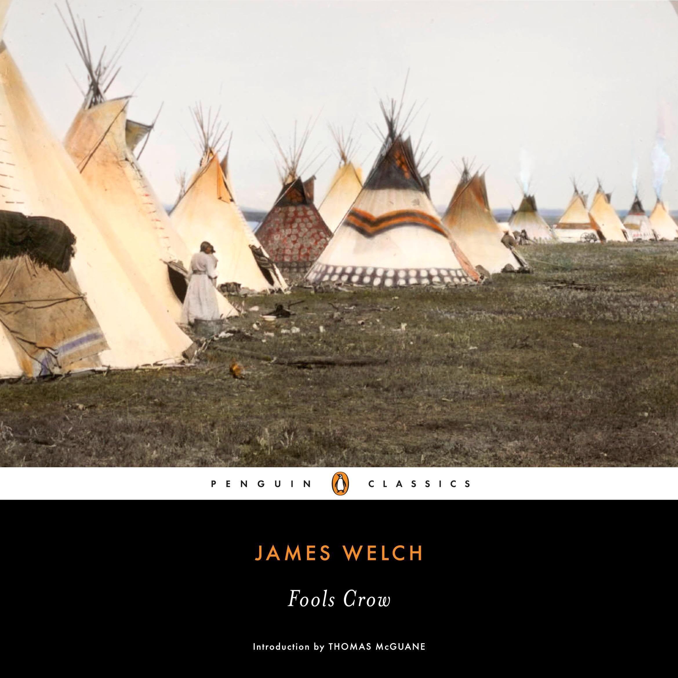 Cover art for Fools Crow