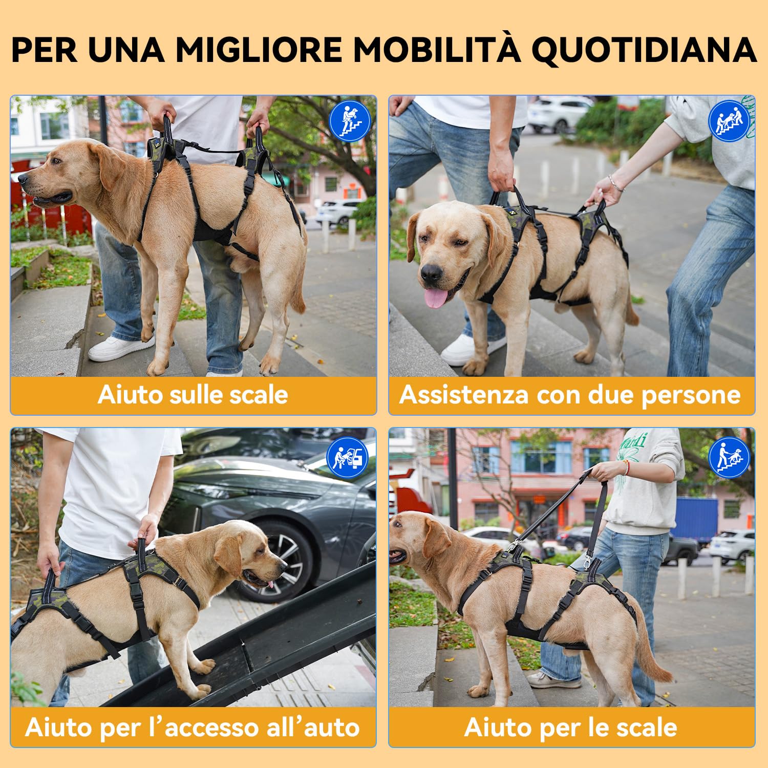 COODEO Imbracatura per sollevamento cani anziani, supporto completo con tracolla regolabile, aiuto per cani con zampe posteriori deboli, artrite, displasia dell'anca e recupero post operatorio (2XL)
