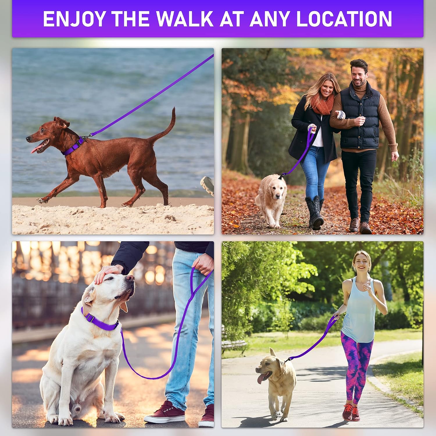 Biothane Dog Leash - Extra Heavy Duty, Made in USA - Waterproof for Large, Medium, Small Dogs - 6 Ft Lead, Strong Coated Nylon Webbing With Brass Carabiner Clip (Purple)