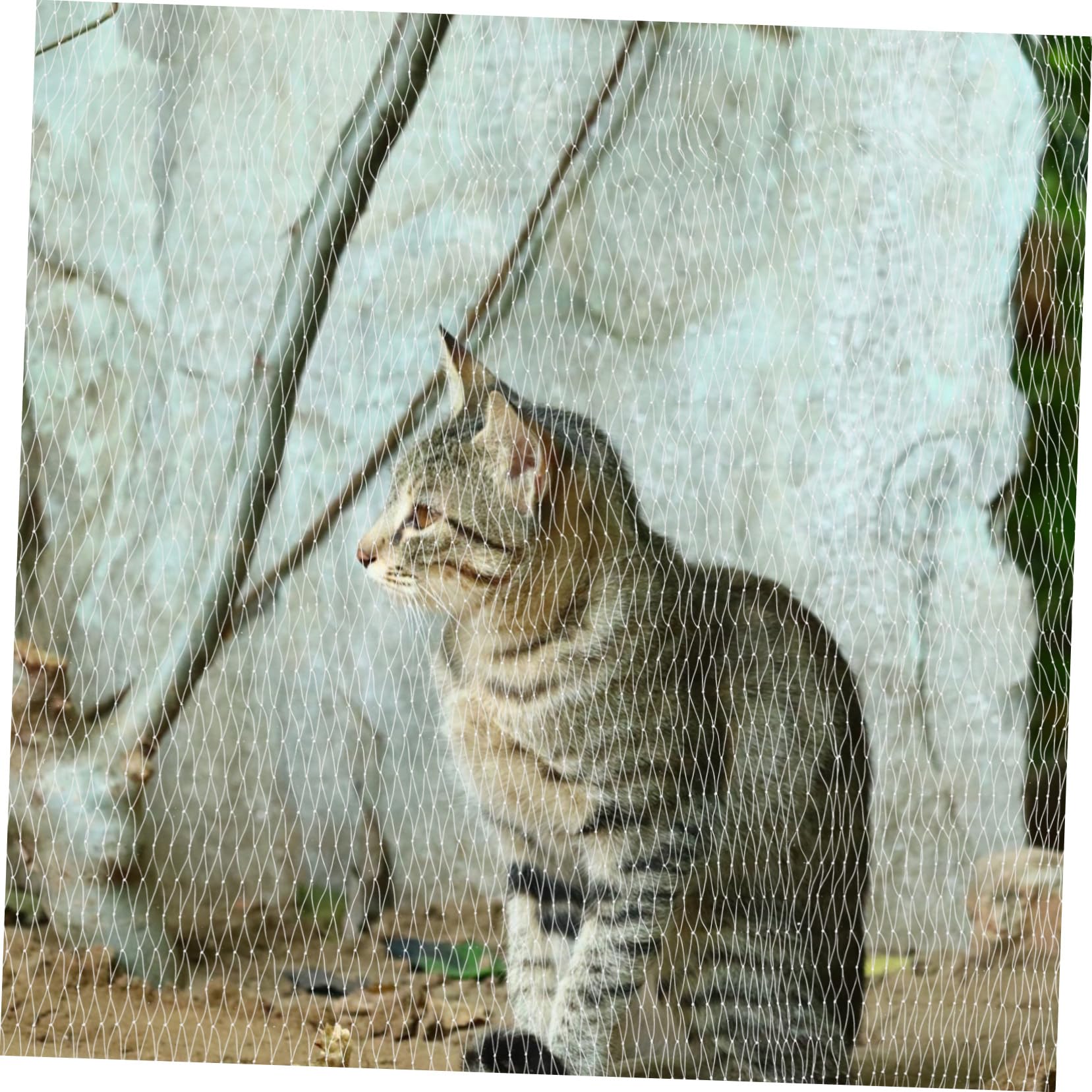 Balcony Cat Net Sicherheitsnetz Für Katzen Und Hunde Schutz Vor Stürzen Für Balkon Terrasse Fenster Und Dach Wasserfestes Einfach Zu Montieren Weiß