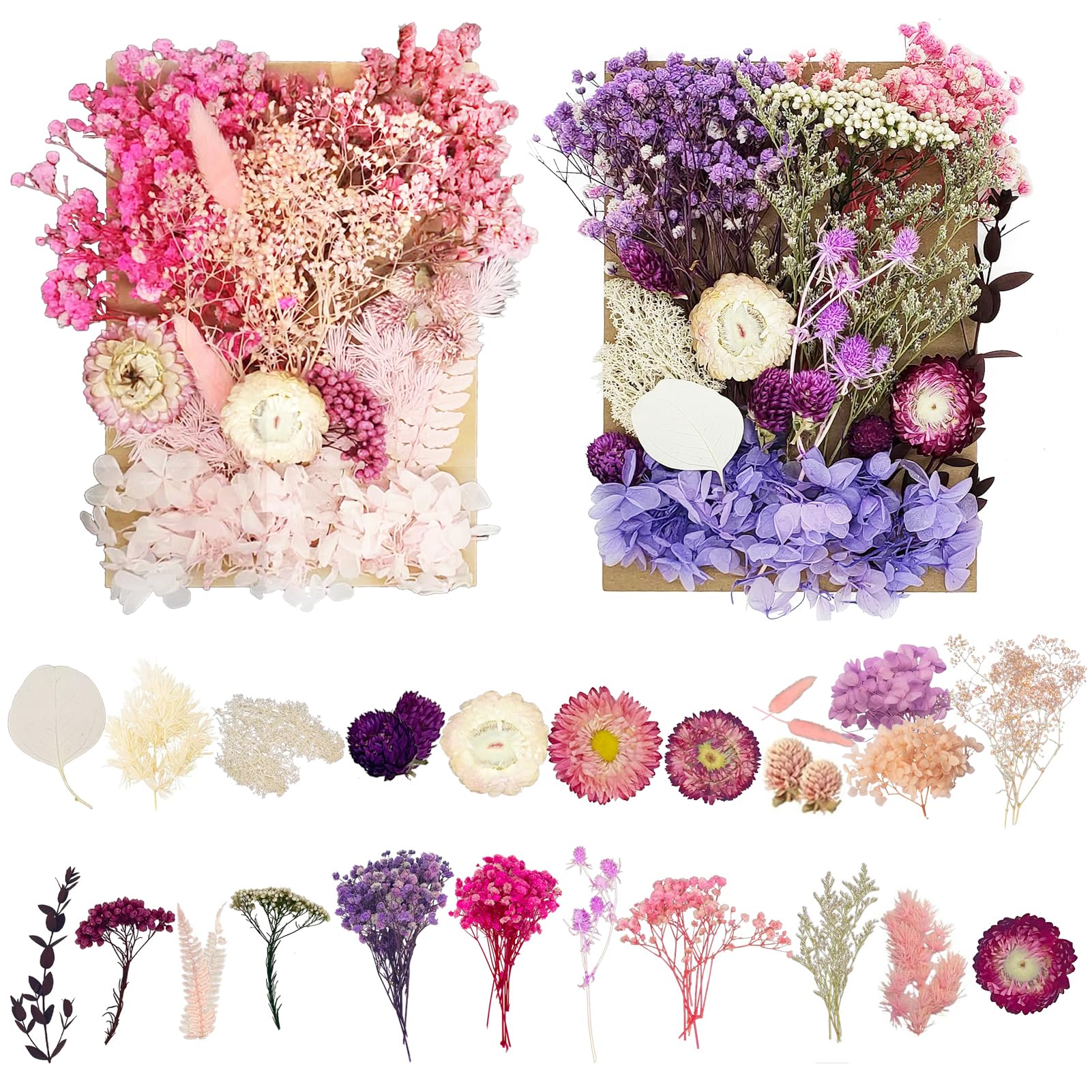 Fiori Secchi Naturali GGUFAY - Per Candele, Resina, Decorazioni Fai-da-te - Foto 11