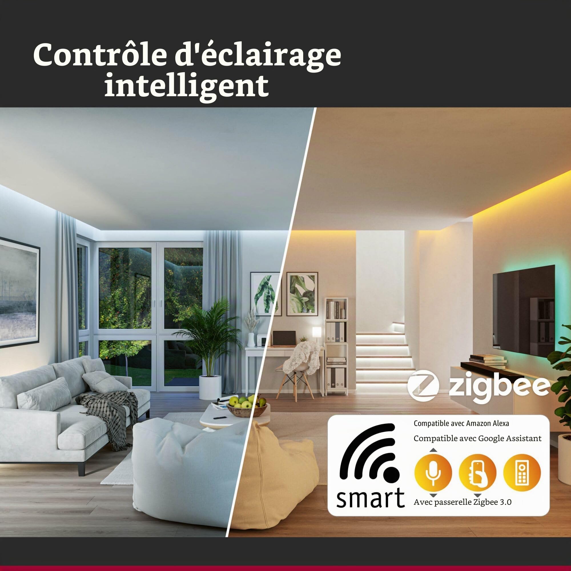 Paulmann 94849 Plug & Shine Projecteur de jardin LED Shira Smart Home Zigbee 6,5W 250lm gradable 455 mm Anthracite aluminium RGBW+