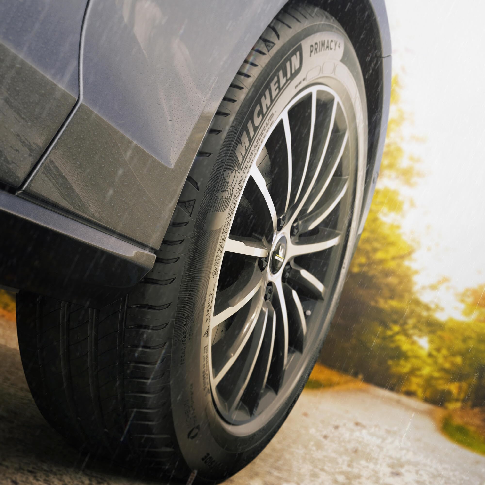 Neumático Verano Michelin PRIMACY 4 195/65R15 91H