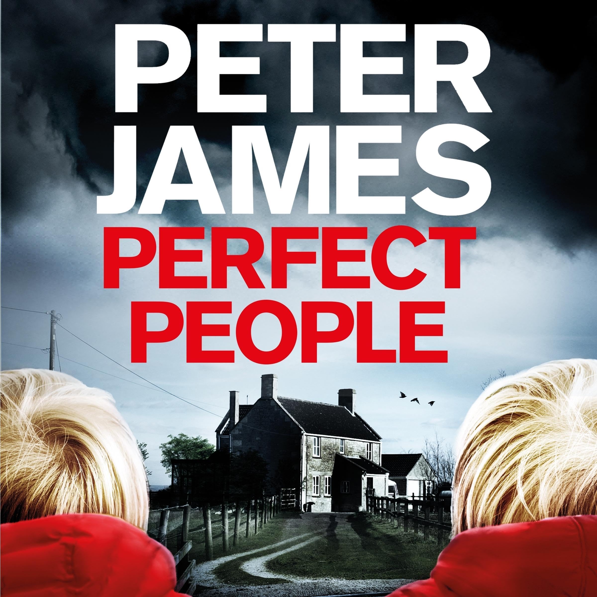 Cover art for Perfect People