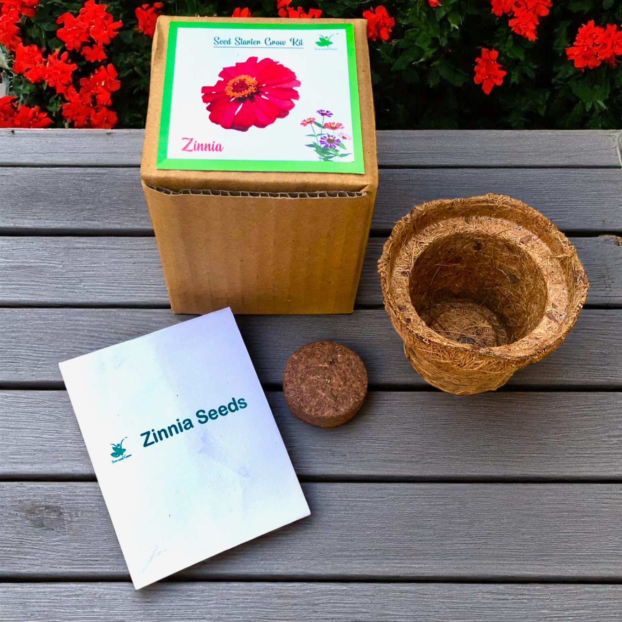 Mini Zinnia Grow Kits - Easy Gardening Gift for Kids & Adults -3 Mini Zinnia Grow Kits - Easy Gardening Gift for Kids & Adults -3