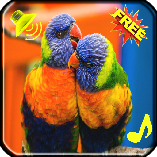 Bird Ringtones Free app App on Amazon Appstore
