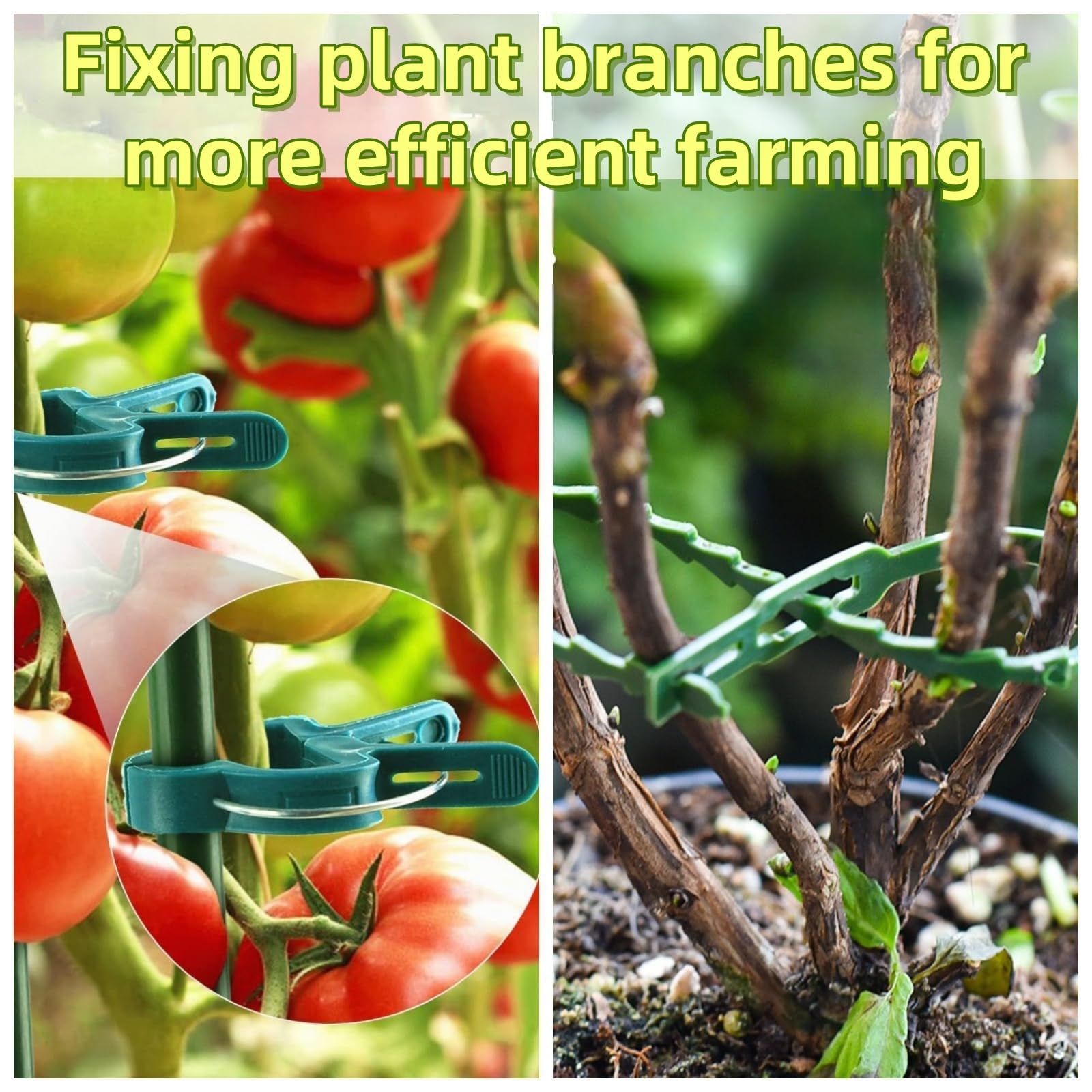 40-180 Stück Verstellbarer Pflanzenbinder Befestigungsset, Pflanzen Klammern zum Binden für Pflanzen StabilisierenTopfpflanzen Gartenbaum Sträucher Binden (Combination 1)