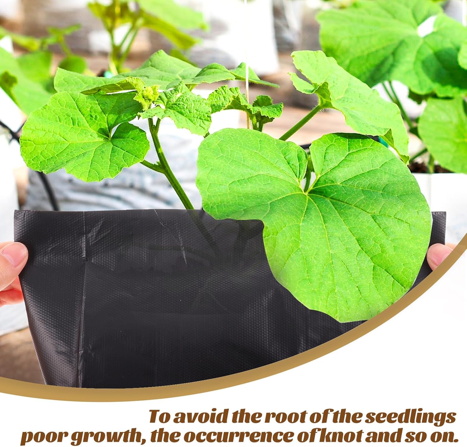 100pcs Pe Flower Nursery Bags Small Portable Planting Grow Bags for Seedlings and Bonsai, 30x31cm with 19cm Diameter and 25cm Height, Garden Plant Growing Pouches for Outdoor Use