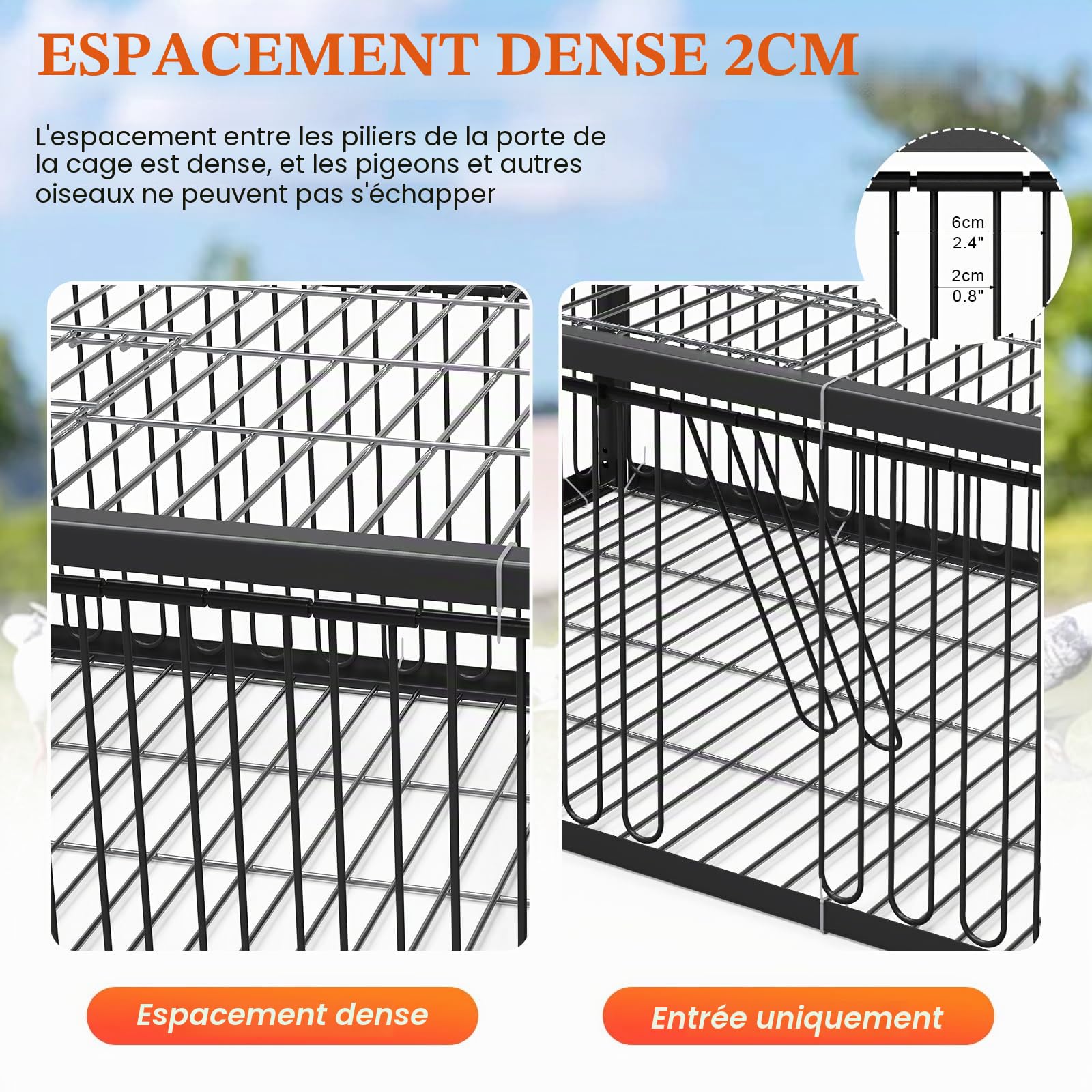 Cage à pigeons, 60 cm, pour la collecte des pigeons, pigeons voyageurs, pigeons à viande, cailles, noir