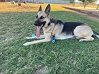 Review Image by Cheyenne