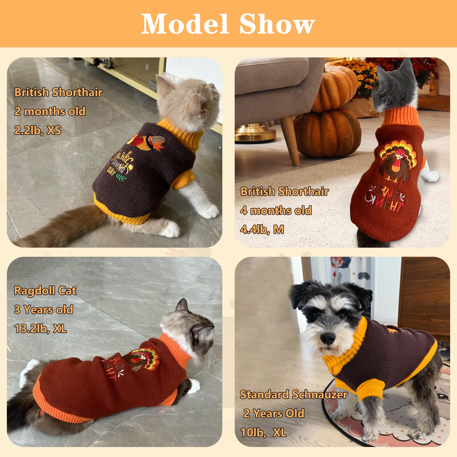 Vehomy Thanksgiving Pullover Für Hund & Katze – 2 Stück, Kürbis & Truthahn Stickerei – Für Kleine Bis Mittelgroße Tiere