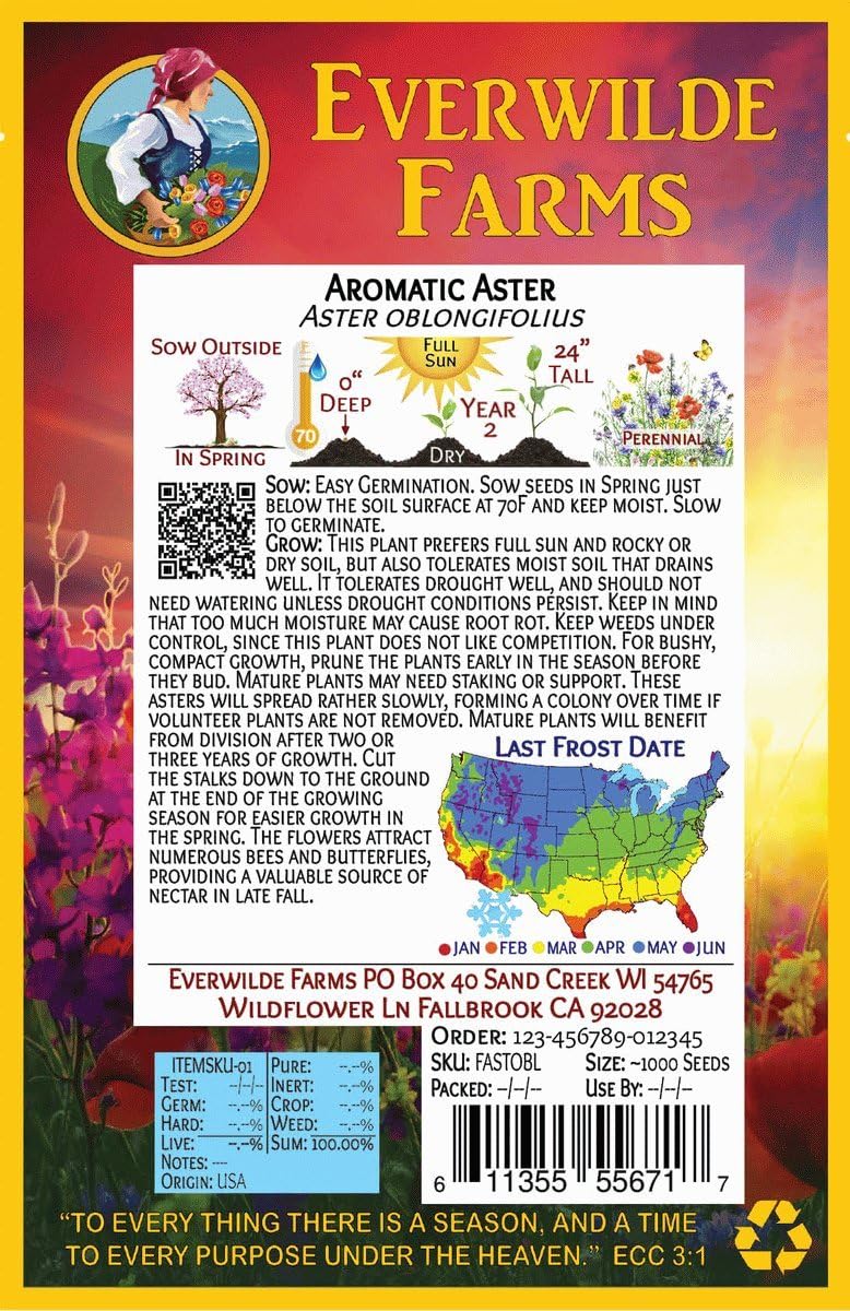 Everwilde Farms - 1 Oz Aromatic Aster Native Wildflower Seeds - Gold Vault