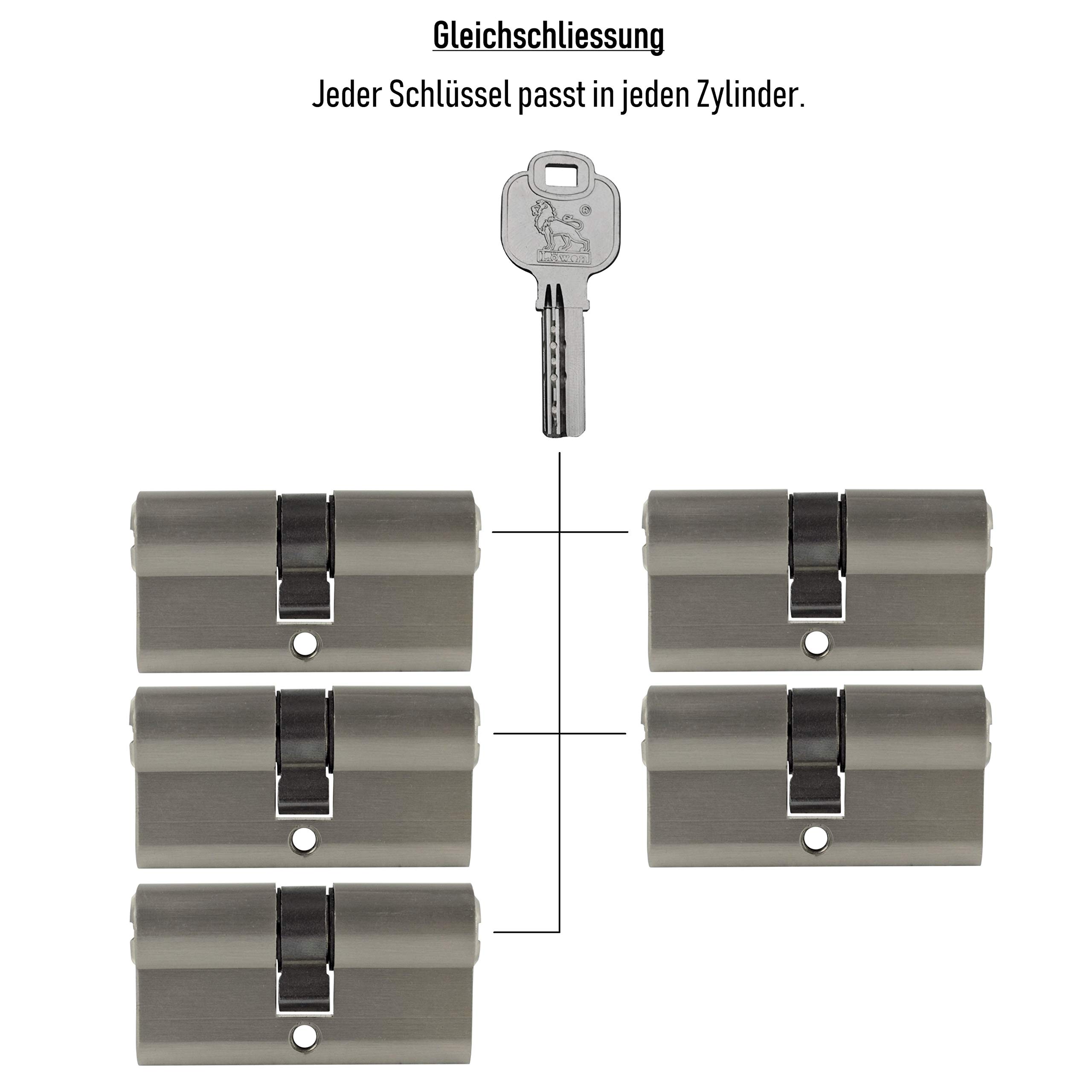 Gleichschließende Schließzylinder 60 mm (30/30 mm) inkl. 3 Schlüssel pro Zylinder (Zylinderanzahl nach Wunsch) (5x Profilzylinder 60 mm (30/30 mm))