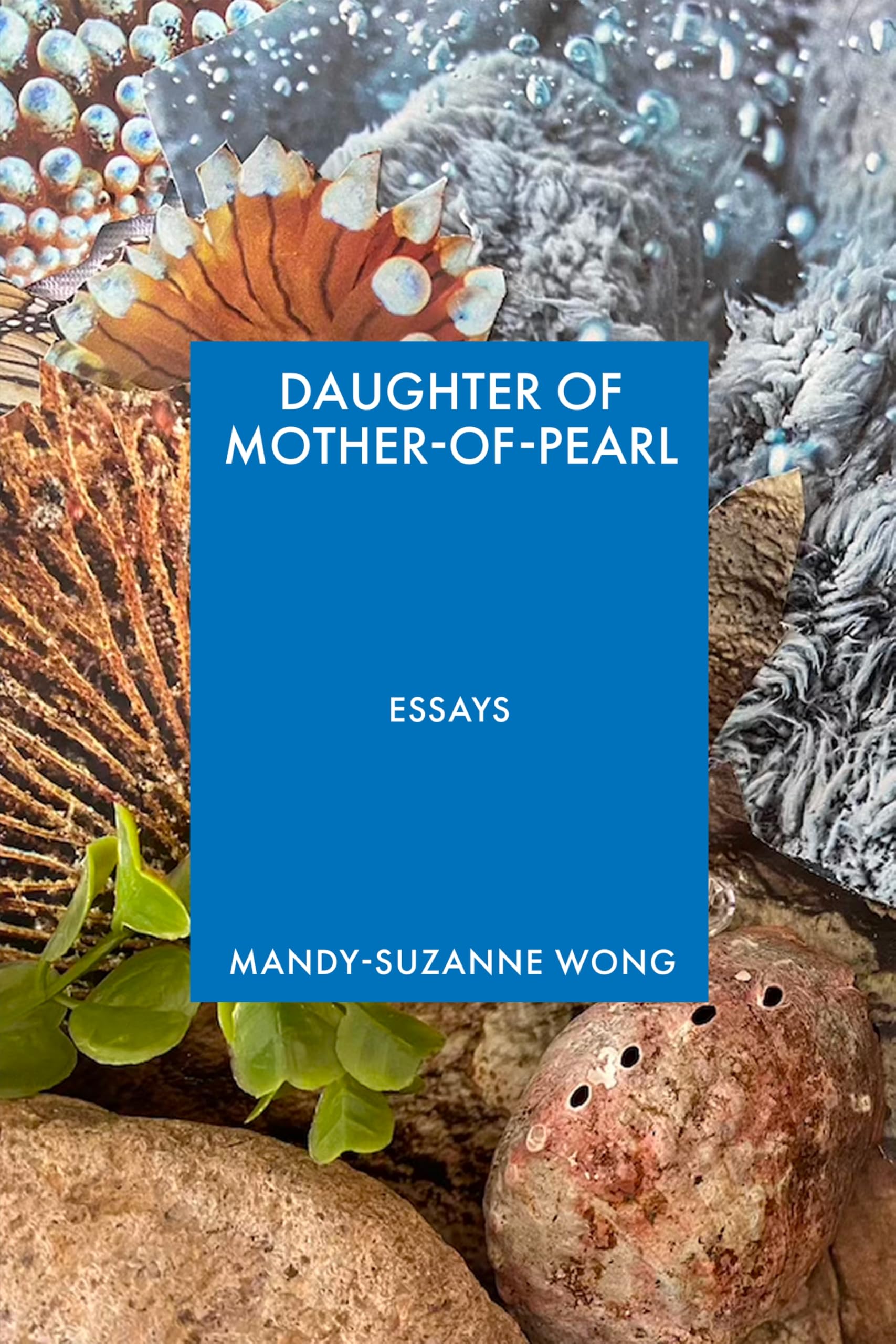 Daughter of Mother-of-Pearl by Mandy-Suzanne Wong (Paperback Book)