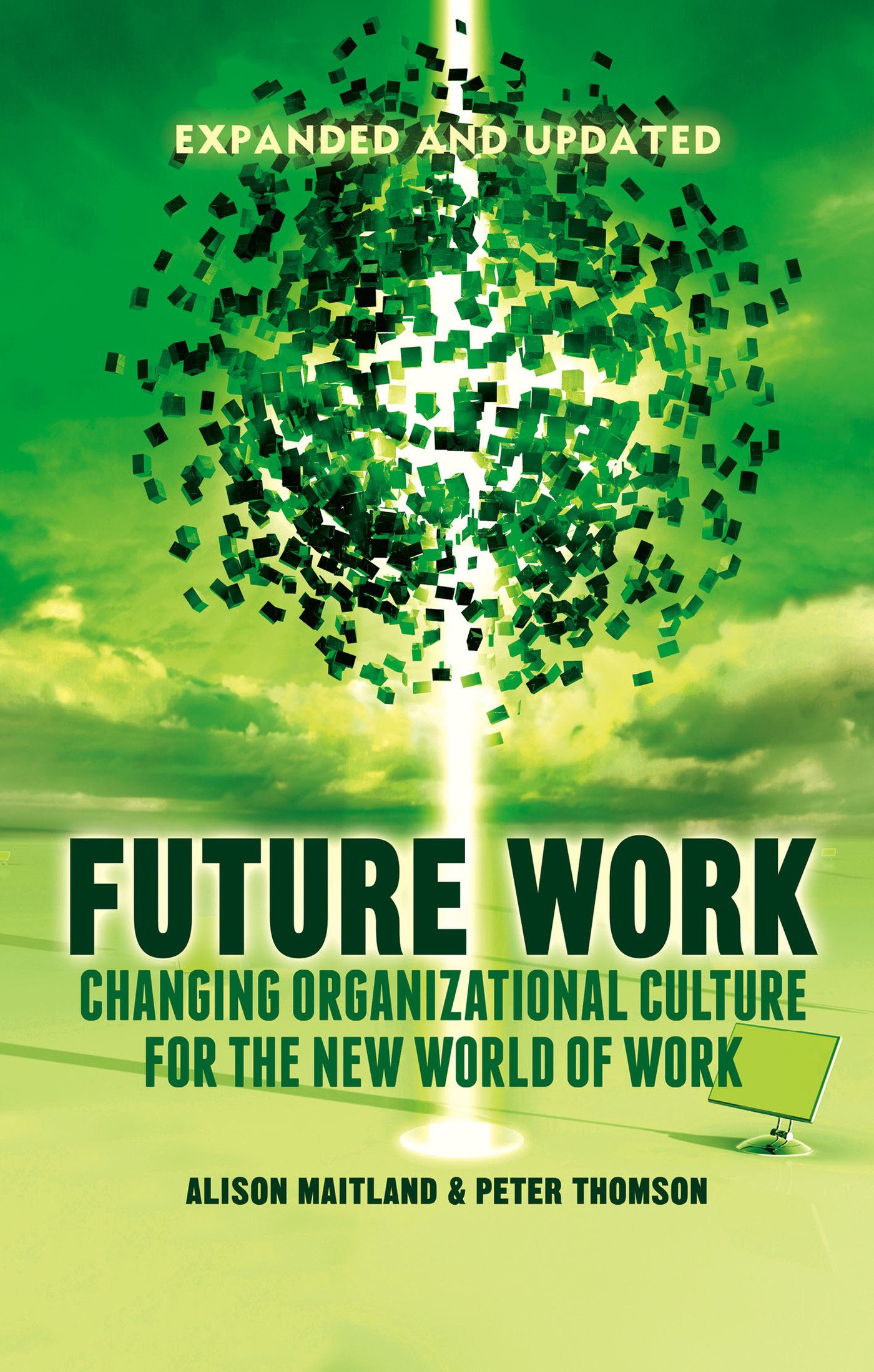 Future Work (Expanded and Updated): Changing organizational culture for the n.