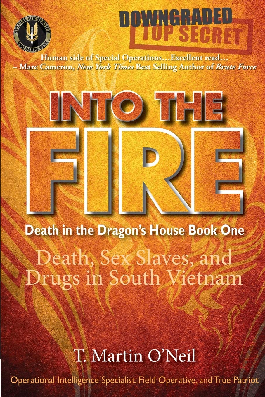 Into the Fire: Death, Sex Slaves, and Drugs in South Vietnam (Death in the Dragon's House Book One)