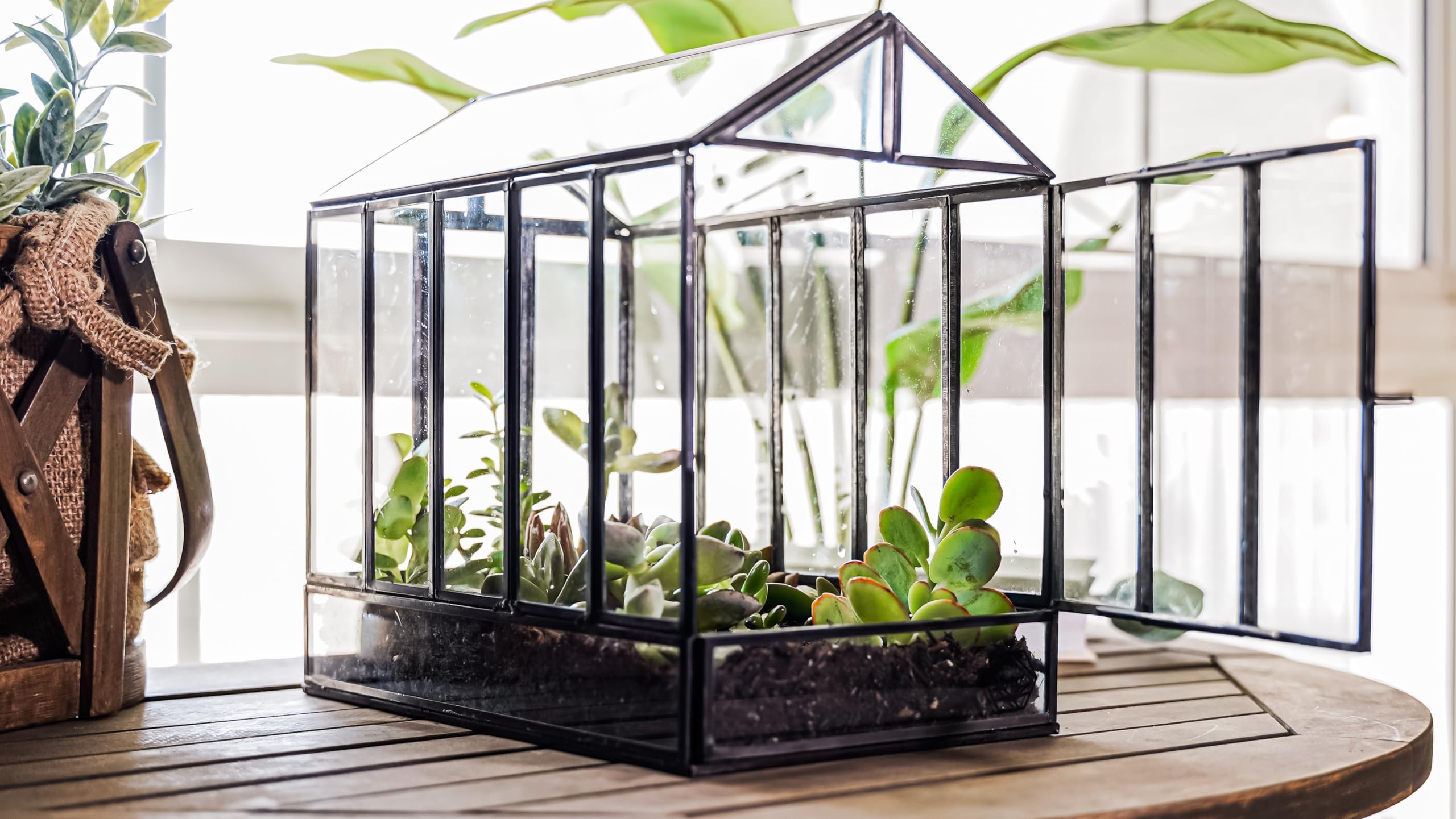 Urban Born Large Indoor Greenhouse Shape Terrarium — 10" x 6" x 10" (Black)