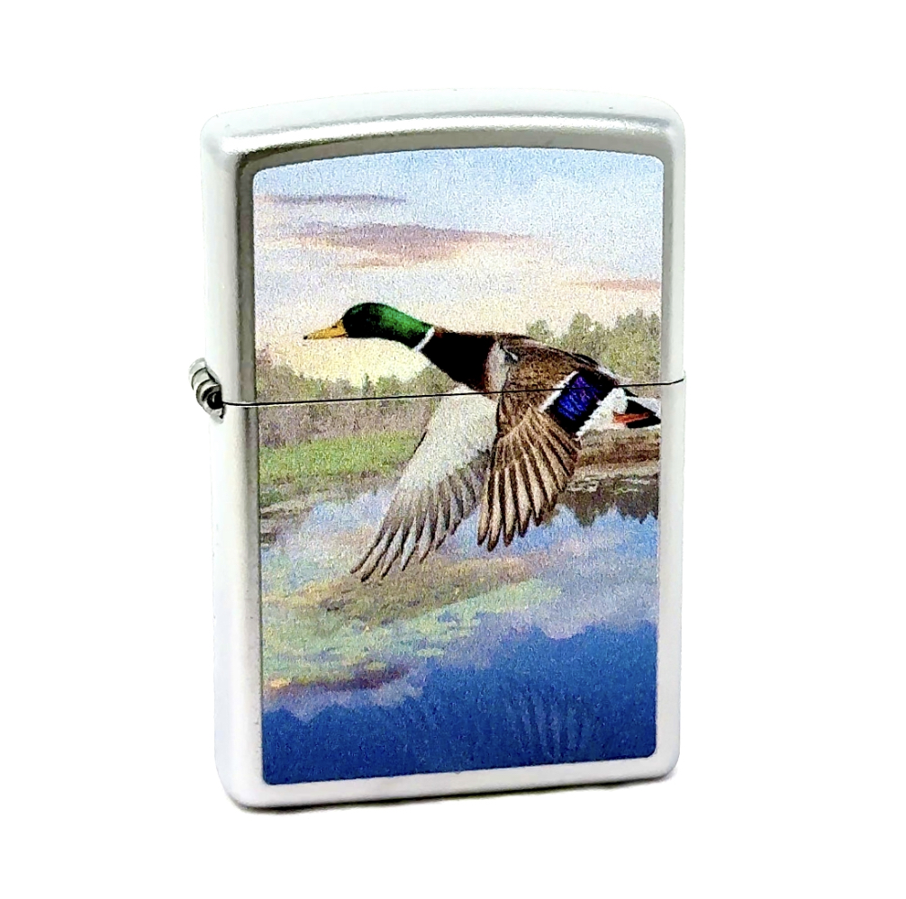 Amazon.com: Zippo Lighter- Duck Mallard Satin Chrome Windproof