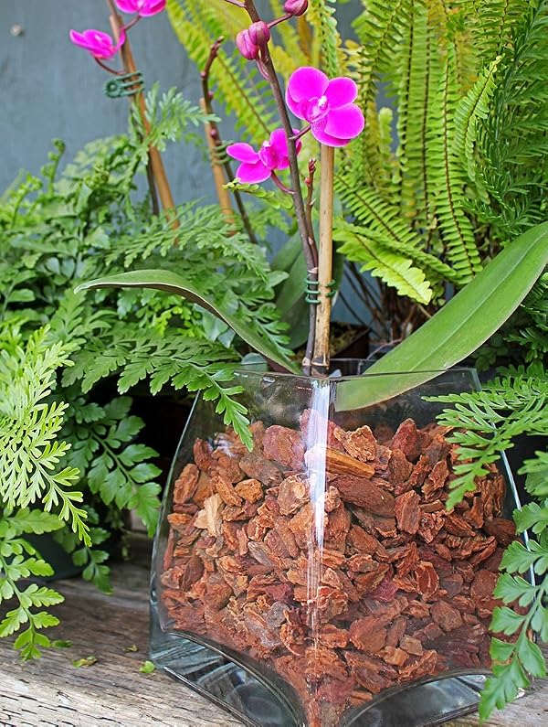 SuperMoss (23114) Orchid Potting Bark, Natural, 4 quarts by SuperMoss - Used condition - US$11.43