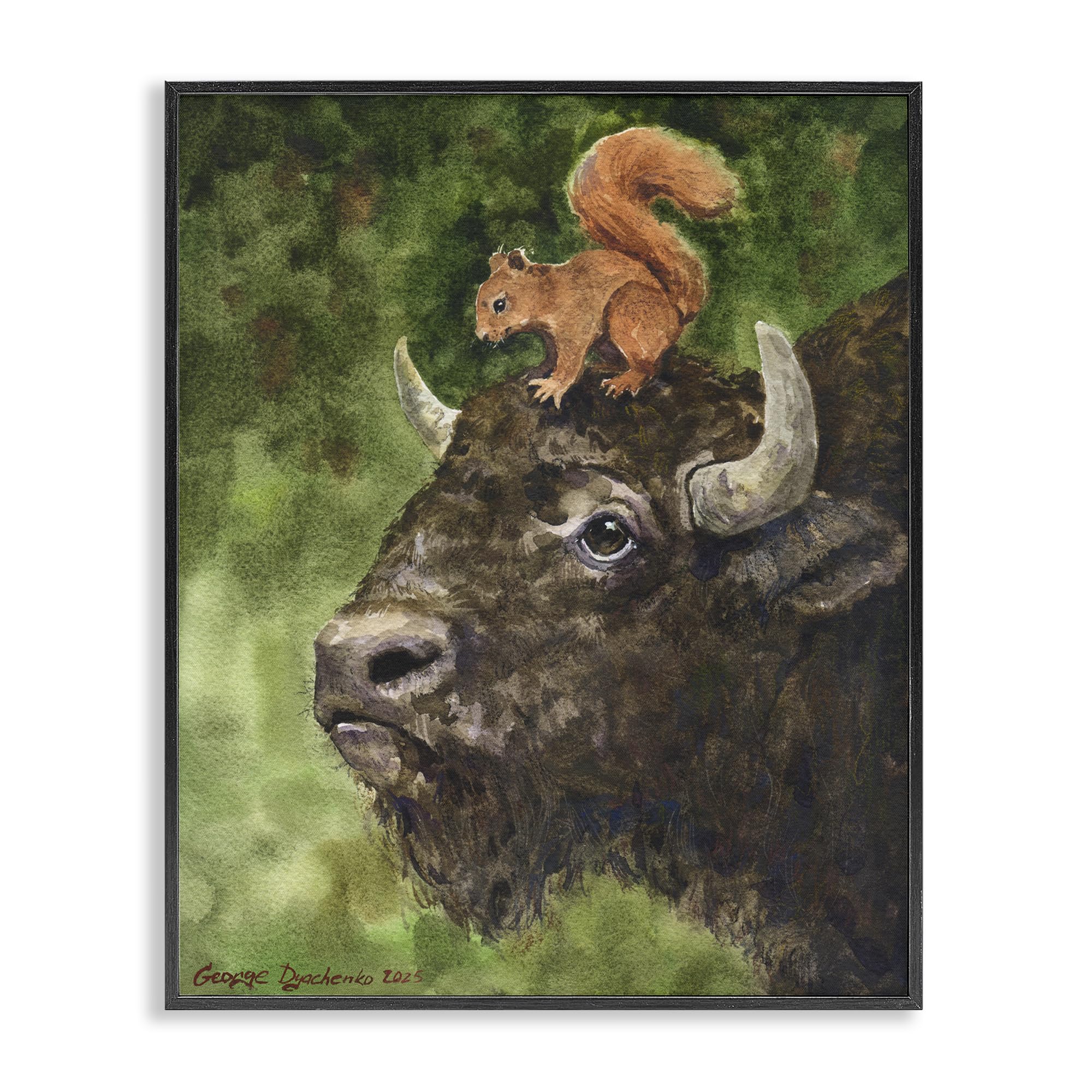 Stupell Industries 'Bison & Squirrel Duo', Framed Giclee Art, Black, 16 x 20 Inches, Easy to Hang and Sturdy, Made in USA, by George Dyachenko