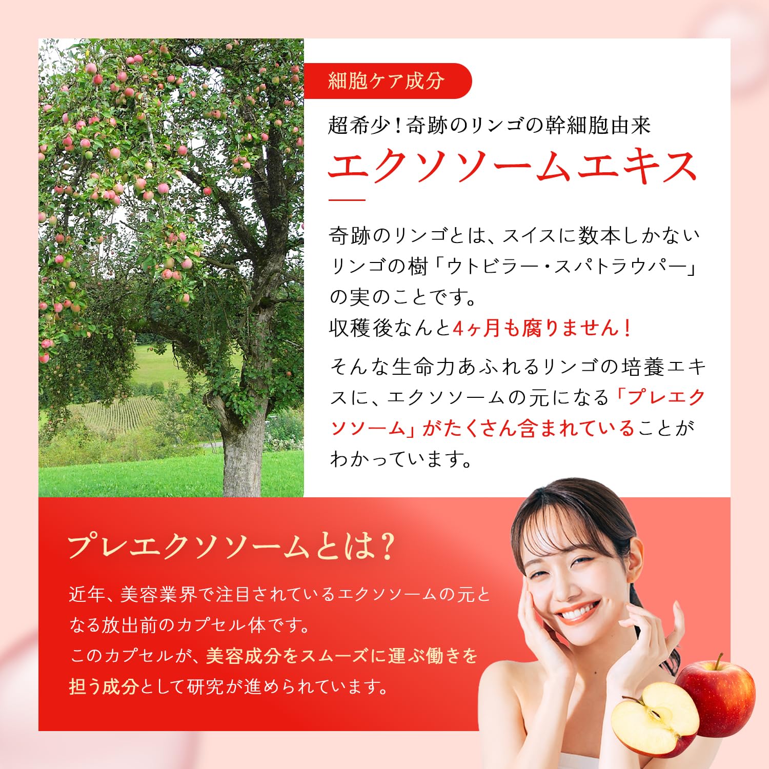 LipoVit（リポビットMD 培養リンゴエキス配合4D30包入 Amazon | リポビットMD リポソーム化 エラスチン ＋ 培養りんごエキス