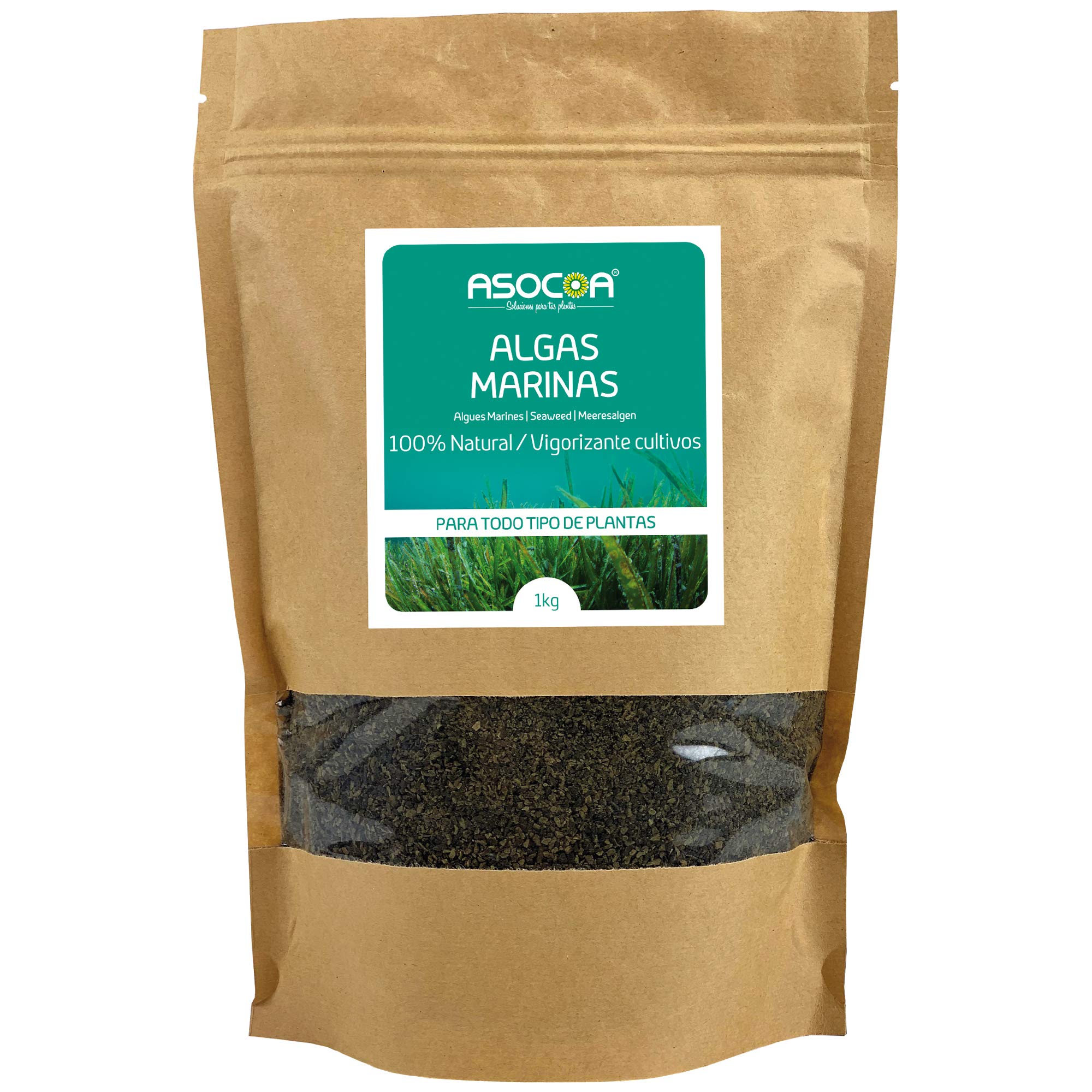 ASOCOA COA115 Seaweed – Eco 1 kg, Brown