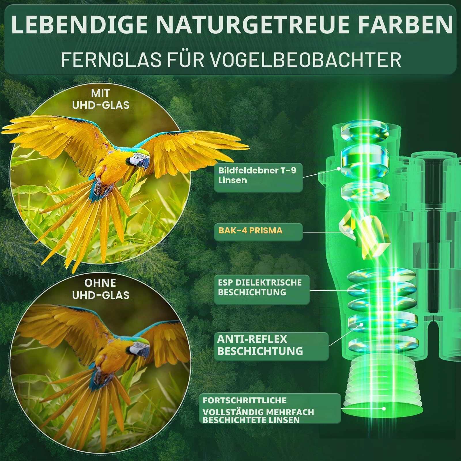16x32 Fernglas for Erwachsene Kinder - Aurosports High Powered Klein Fernglas für Vogelbeobachtung - HD Leichtgewicht Ferngläser für Jagd Kreuzfahrt Reise Konzert Wandern