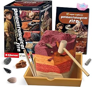 Paleontological Site Fossil Dig Kit for Kids, Dig Up 4 ERAS Ancient Creatures Kit, Archaeology Kits with Rocks and Minerals, Educational Stem Toy for Kids Age 6+, Birthday Gift for Boys Girls