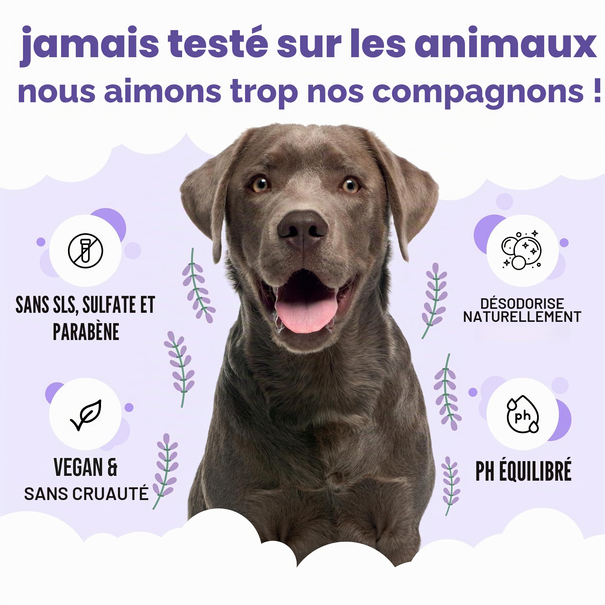 Buddycare Shampooing | Shampooing nettoyant en Profondeur pour Chiens | avec Aloé Véra et B5 (Apaisant et Désodorisant 5L)