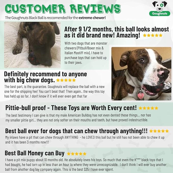 goughnuts interactive black chew ball
