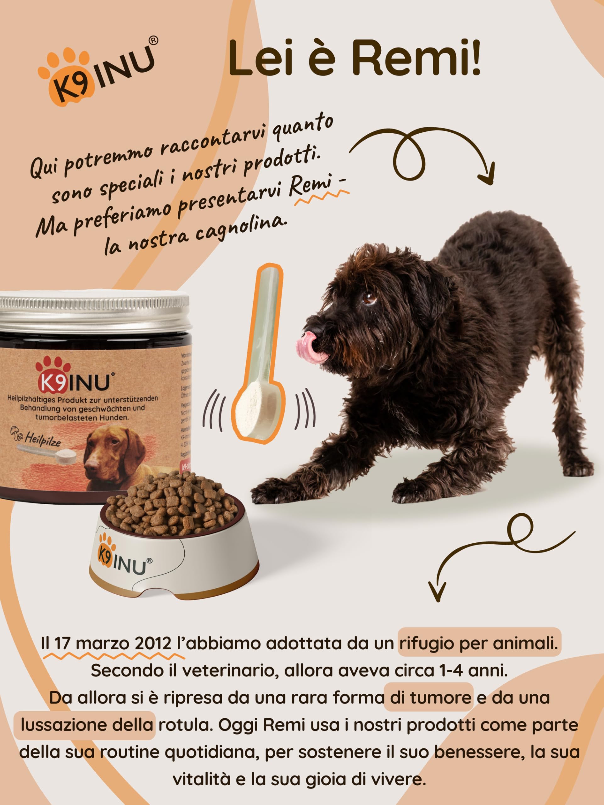 Supporto Immunitario per Cani - Complesso Concentrato di 6 Funghi Medicinali con Cordyceps, Reishi e Shiitake - Ricco di Beta Glucani - Vitamine per Cani - BIO, Naturale - 54 g