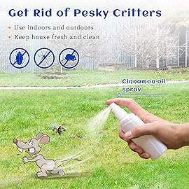 HIQILI Cinnamon Essential Oil for Spary, Diffuser, Garden and Kitchen - 100% Pure Natural - Indoor and Outdoor, 1.01 Fl Oz