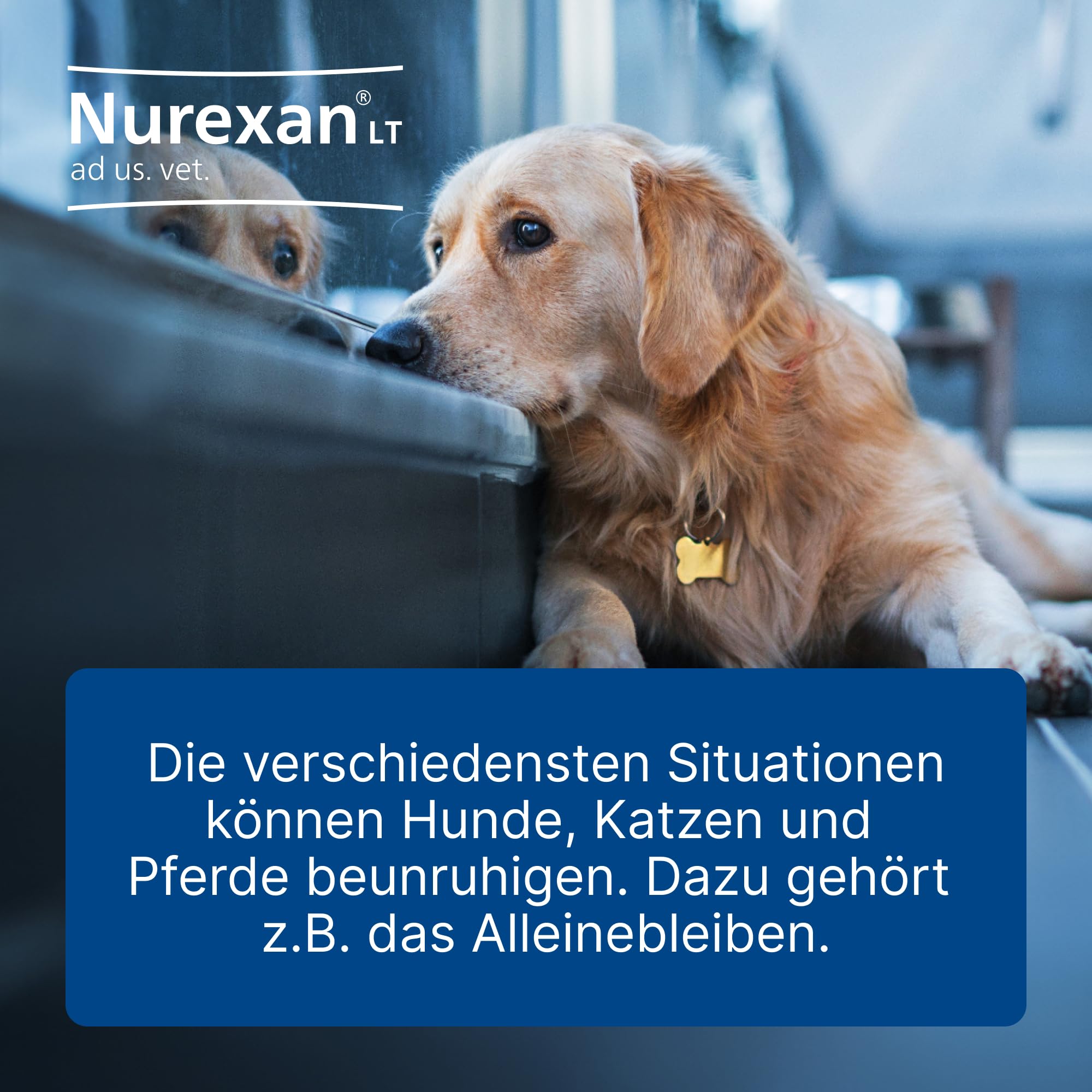 LT ad us. Vet. 500 Tabletten, Nur die Ruhe | Natürliches Tierarzneimittel für Hunde, Katzen und Pferde, Unterstützung in belastenden Situationen! , Made in Germany