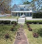 Review Image by Mrs. Blennerhassit Mrs. Blennerhassit