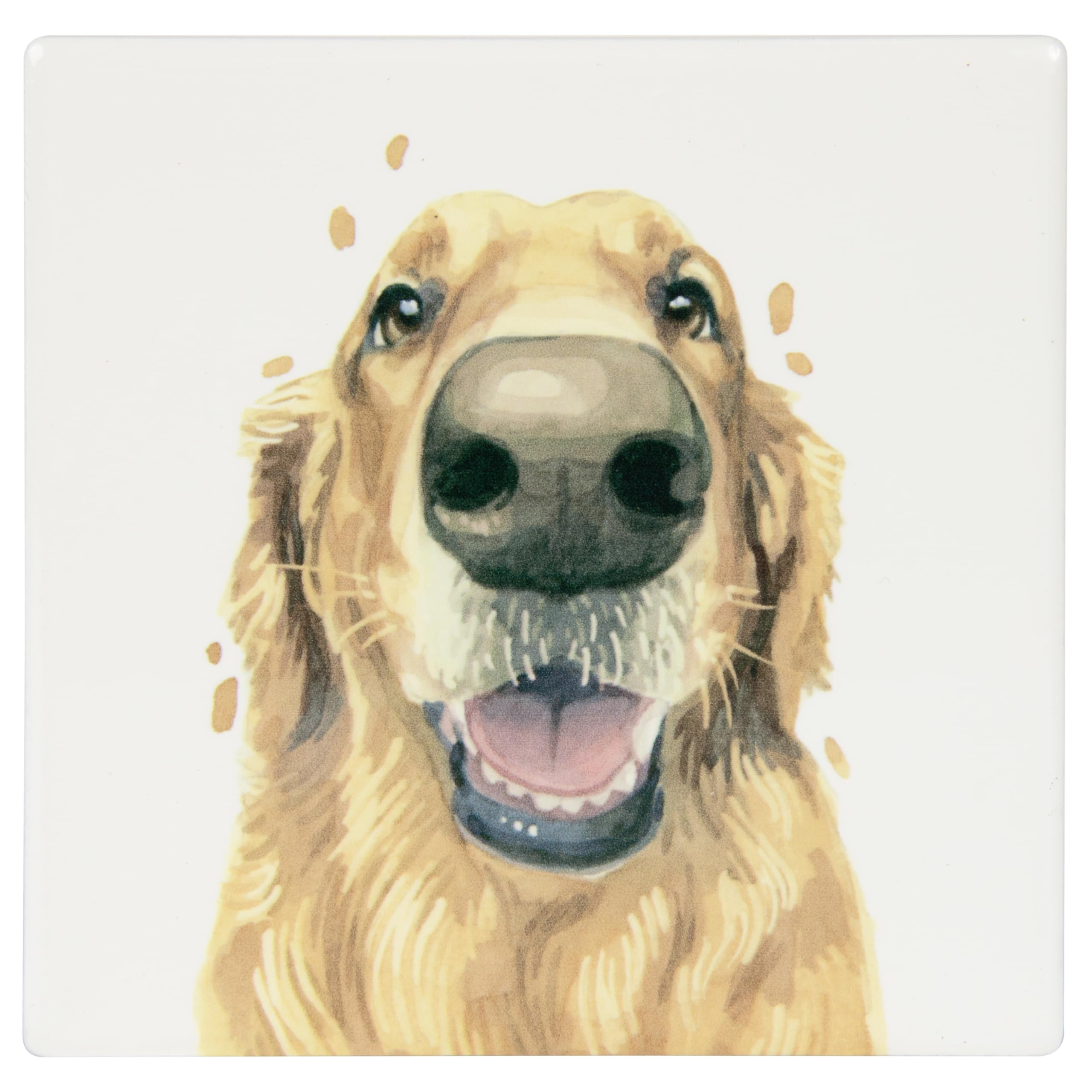 Lesser & Pavey Golden Retriever Coaster Robert James Hull For Home & Office | Stylish Coasters For Kitchen & Dining | Durable Drinks Coasters For Tabletops | Decorative Home Accessories for Tables